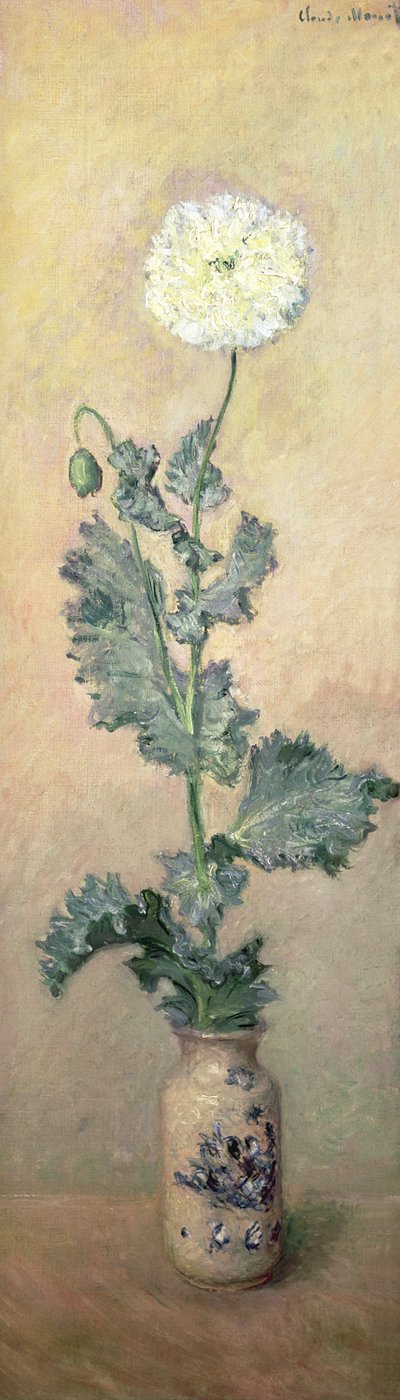Papoila Branca, 1883 de Claude Monet
